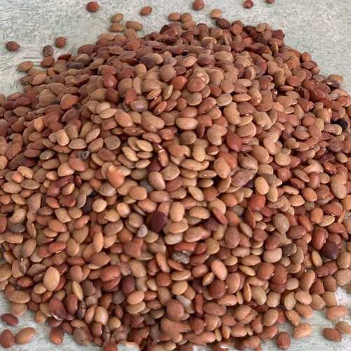 Horse Gram/Kulthi – The Super-food You Don’t Know&nbsp;About